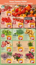 Ähnliche Tomatenpflanze Angebote im Prospekt "Dein Markt" von REWE in Darmstadt Ähnliche Angebote wie Tomatenpflanze im Prospekt "Dein Markt" auf Seite 7 von REWE in Darmstadt