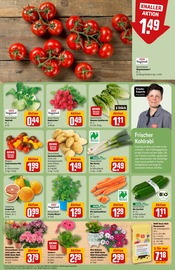 Ähnliche Eibe Angebote im Prospekt "Dein Markt" von REWE in Kiel Ähnliche Angebote wie Eibe im Prospekt "Dein Markt" auf Seite 7 von REWE in Kiel