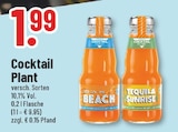Sex on the Beach im Angebot bei Trinkgut in Moers Sex on the Beach Angebote von Cocktail Plant bei Trinkgut Moers für 1,99 €