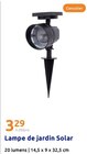 Lampe de jardin solar dans le catalogue Action