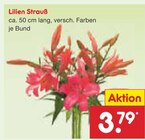 Lilien Strauß im Angebot bei Netto Marken-Discount in Halberstadt Lilien Strauß Angebote bei Netto Marken-Discount Halberstadt für 3,79 €