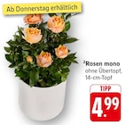 Rosen mono bei EDEKA im Künzelsau Prospekt für 4,99 €