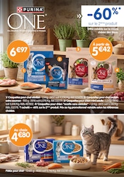 Promos Croquettes Chien dans le catalogue "Miracle BEAUTY" de B&M Croquettes Chien en promo dans le catalogue B&M à la page 13