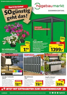 Aktueller Hagebaumarkt Prospekt "Raus in den Garten? SO günstig geht das!" Seite 1 von 18 Seiten