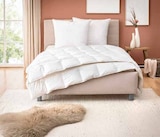 Steppbett Ambiente im Angebot bei Segmüller in Grevenbroich Steppbett Ambiente Angebote von Billerbeck bei Segmüller Grevenbroich