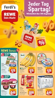 Aktueller REWE Prospekt für Dahlenburg mit  Seiten