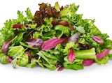 Aktuelle Salat Angebote bei Penny in Frankfurt (Main) Aktuelles Deutscher Mediterraner Pflücksalat Angebot bei Penny in Frankfurt (Main) ab 1,11 €