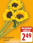Aktuelle Blumen Angebote bei E center in Berlin Aktuelles Sonnenblumen Angebot bei E center in Berlin ab 2,49 €