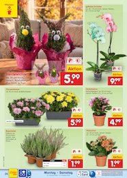 Bratpfanne Angebot & Preis im aktuellen Netto Marken-Discount Prospekt Bratpfanne Angebot im aktuellen Netto Marken-Discount Prospekt auf Seite 30