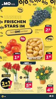 Tomaten im Netto mit dem Scottie Prospekt "Günstig. Besser. Für Dich." mit 37 Seiten (Potsdam)