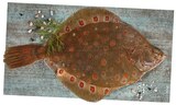 Aktuelle Fisch Angebote bei REWE in Recklinghausen Aktuelles Scholle küchenfertig Angebot bei REWE in Recklinghausen ab 1,59 €