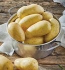 Pomme de terre de consommation à chair ferme - PRINCESSE AMANDINE en promo chez Intermarché Super Pomme de terre de consommation à chair ferme - PRINCESSE AMANDINE dans le catalogue Intermarché Super