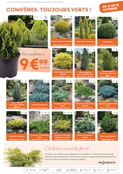 Promos Cyprès dans le catalogue "L'automne, c'est la saison des racines !" de Ma Jardinerie Cyprès en promo dans le catalogue Ma Jardinerie à la page 3