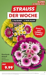 Blumen im Kaufland Prospekt Blumen im Kaufland Prospekt "KNÜLLER" auf Seite 10