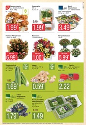 Aktueller Marktkauf Prospekt mit Pilze, "Top Angebote", Seite 5