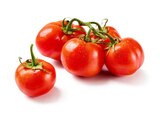 Aktuelles Strauchtomaten Angebot bei Lidl in Braunschweig