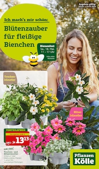 Aktueller Pflanzen Kölle Prospekt "Blütenzauber für fleissige Bienchen!" Seite 1 von 16 Seiten