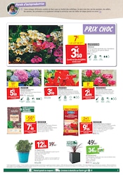 Hortensia en promo dans le catalogue Gamm vert à la page 7