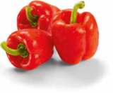 Paprika rot im aktuellen Netto Marken-Discount Prospekt für 1,35 €