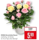 Herzstücke Rosen Angebote von EDEKA bei Marktkauf Göppingen für 5,99 €
