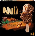 Ice Cream Salted Caramel & Australian Macadamia im Angebot bei REWE in Oldenburg Ice Cream Salted Caramel & Australian Macadamia Angebote von Nuii bei REWE Oldenburg für 1,99 €