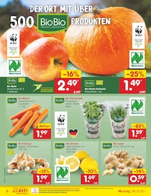 Kürbis im Netto Marken-Discount Prospekt "Aktuelle Angebote" mit 59 Seiten (Dresden)