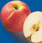 Apfel Pink Lady lose im Angebot bei Lidl in Hennef Apfel Pink Lady lose Angebote von Pink Lady bei Lidl Hennef für 2,49 €