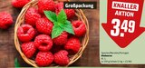 Himbeeren Angebote bei REWE Neustadt für 3,49 €