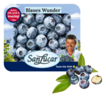 Heidelbeeren Angebote von SanLucar bei REWE Weinheim für 1,99 €