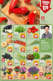 Ähnliche Stiefmütterchen Angebote im Prospekt "Dein Markt" von REWE in Euskirchen Ähnliche Angebote wie Stiefmütterchen im Prospekt "Dein Markt" auf Seite 7 von REWE in Euskirchen