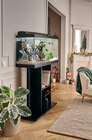Aquarium "Tropical 80 Pur" PURE FAMILY - PURE FAMILY dans le catalogue Jardiland
