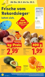 Pilze Angebot im aktuellen Lidl Prospekt auf Seite 66