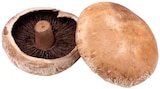 Aktuelles Portobello Pilze Angebot bei REWE in Frankfurt (Main) ab 2,79 €