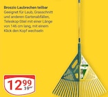 Laubrechen teilbar im Angebot bei GLOBUS in Koblenz Laubrechen teilbar Angebote von Broszio bei GLOBUS Koblenz für 12,99 €
