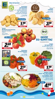 Pfifferlinge im E center Prospekt "Aktuelle Angebote" mit 24 Seiten (Münster)