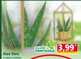 Aloé vera en promo chez Norma Strasbourg à 3,99 €