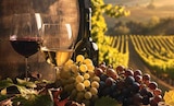 Chardonnay von Grand Sud im aktuellen Marktkauf Prospekt