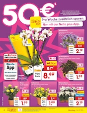 Zimmerpflanzen im Netto Marken-Discount Prospekt in Reutlingen Aktueller Netto Marken-Discount Prospekt mit Zimmerpflanzen, "Aktuelle Angebote", Seite 6