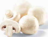 Champignons weiß im Angebot bei Netto Marken-Discount in Potsdam Champignons weiß Angebote bei Netto Marken-Discount Potsdam für 1,69 €