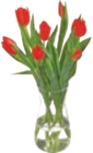 Tulpen Angebote bei tegut Eisenach für 2,99 €