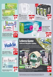 Aktueller E center Prospekt mit Gartendeko, "Aktuelle Angebote", Seite 21