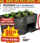 Hochbeet mit 2 Staufächern bei Wreesmann im Prospekt "" für 99,99 €