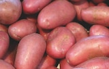 Supeco Saint-Sernin-du-Bois - Promo Pomme de Terre Vapeur Rouge Promo Pomme de Terre Vapeur Rouge à 1,49 € dans le catalogue Supeco à Saint-Sernin-du-Bois