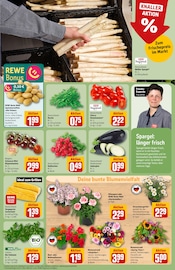 Kartoffeln im REWE Prospekt in Brandenburg Aktueller REWE Prospekt mit Kartoffeln, "Dein Markt", Seite 7