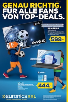 Aktueller EURONICS Prospekt (Emtmannsberg, 12 Seiten zum blättern EURONICS Prospekt GENAU RICHTIG. FÜR ALLE FANS VON TOP-DEALS. mit 12 Seiten