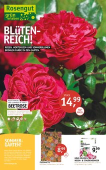 ROSENGUT Langerwisch Prospekt BLÜTENREICH! mit 12 Seiten