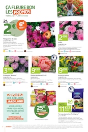 Offre Arum dans le catalogue Jardiland du moment à la page 2