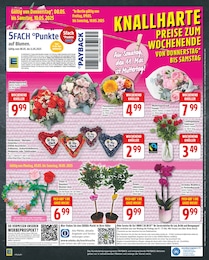 Orchidee Angebot & Preis im aktuellen EDEKA Prospekt Orchidee Angebot im aktuellen EDEKA Prospekt auf Seite 18