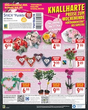 Aktueller EDEKA Prospekt mit Lenor, "Aktuelle Angebote", Seite 18