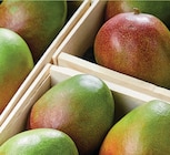 Netto Narbonne - Promo Mangue affinée Promo Mangue affinée à 1,19 € dans le catalogue Netto à Narbonne